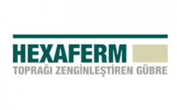 Logo 1